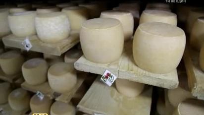 Закарпаття – справжній швейцарський сир в українських Карпатах