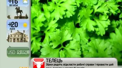Шоколад вызывает привыкание, а капуста насыщает организм опиумом