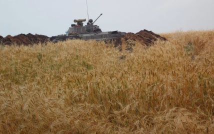Аграрии Донбасса жалуются, что не могут собрать урожай зерновых из-за боевых действий