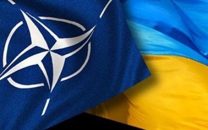ЦИК не разрешил проводить референдум относительно вступления Украины в НАТО