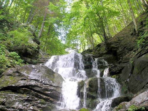 Струи воды водопада Шипот срываются с 14-метровой высоты / © heavy.com