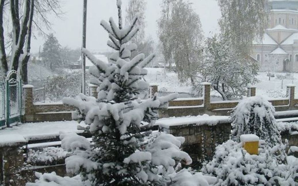 У соцмережах радіють першому снігу / © Фіртка.ua