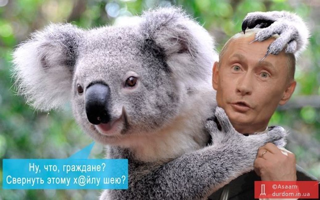 Путіна висміяли у соцмережах / © Інший футбол