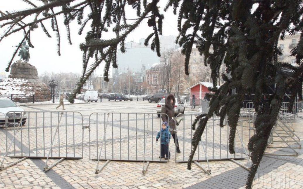 На Софийской площади установят натуральную елку / © УНІАН
