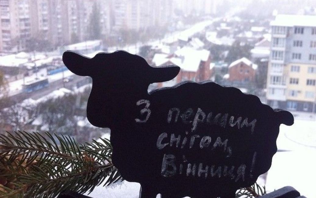 У соцмережах радіють першому снігу / © МВС