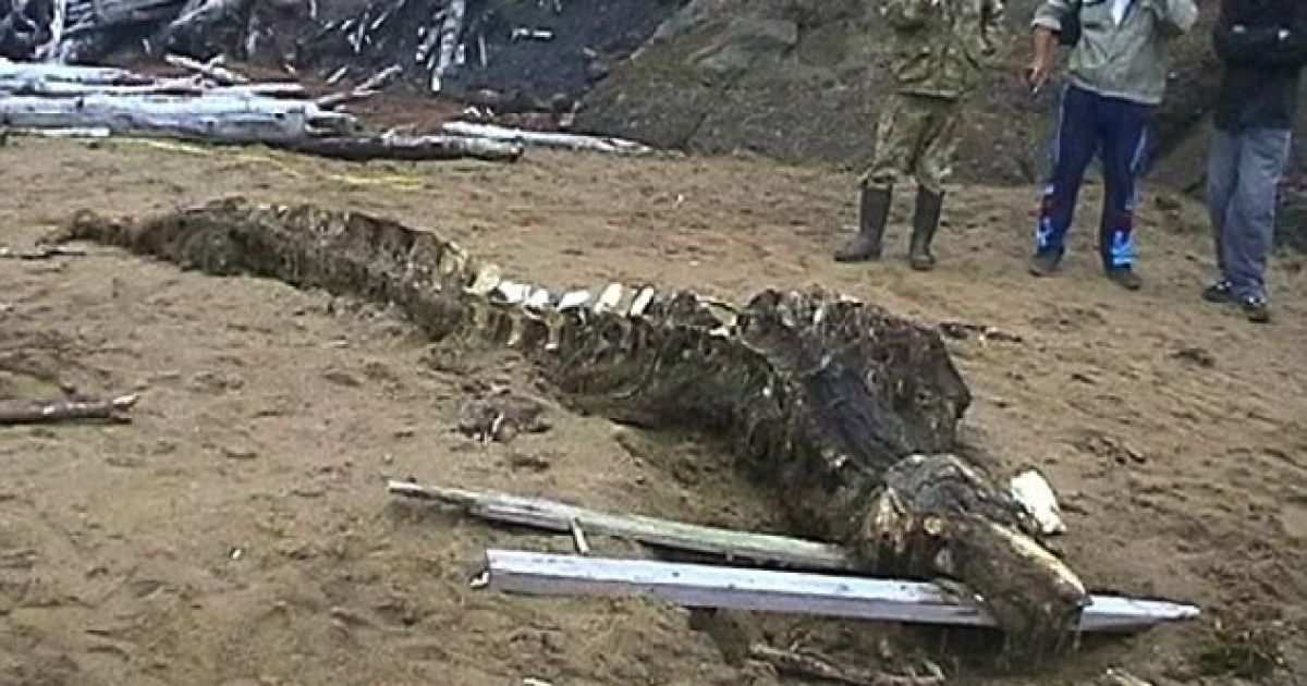 Російські спецслужби забрали кістки, щоб повести поглиблене дослідження