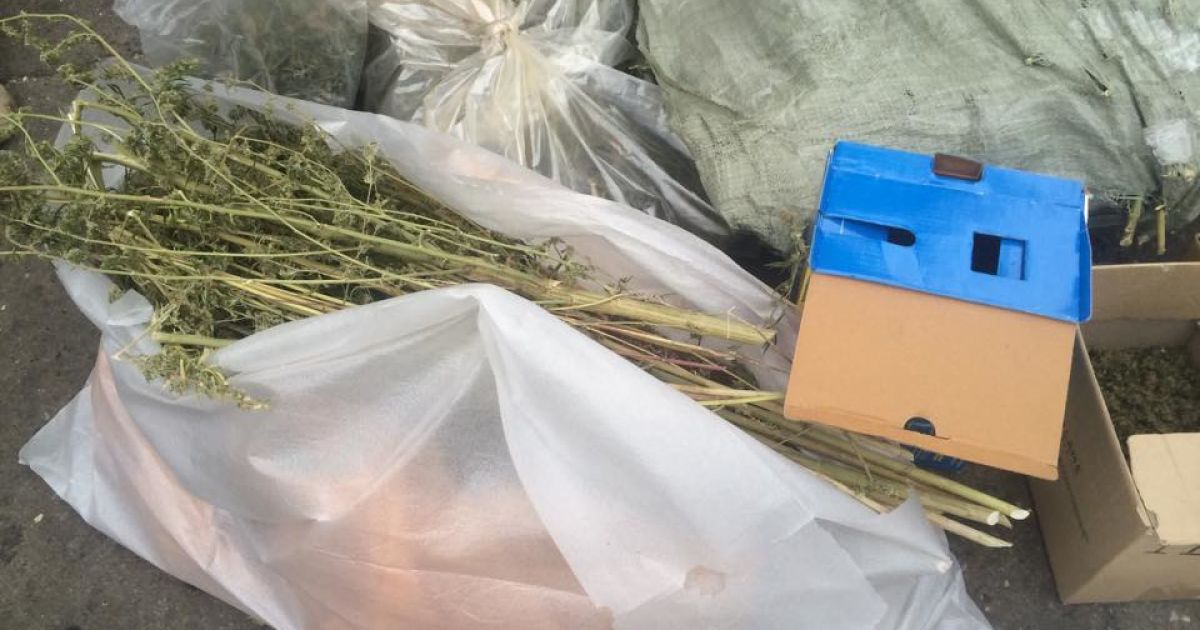 Бойцы одного из добровольческих батальонов, которые везли 30 кг "травы" другому батальону