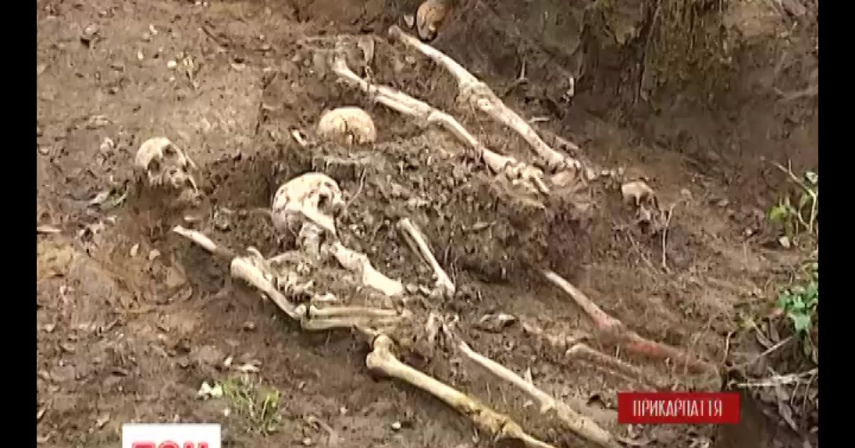 Масове поховання жертв НКВС знайшли випадково.