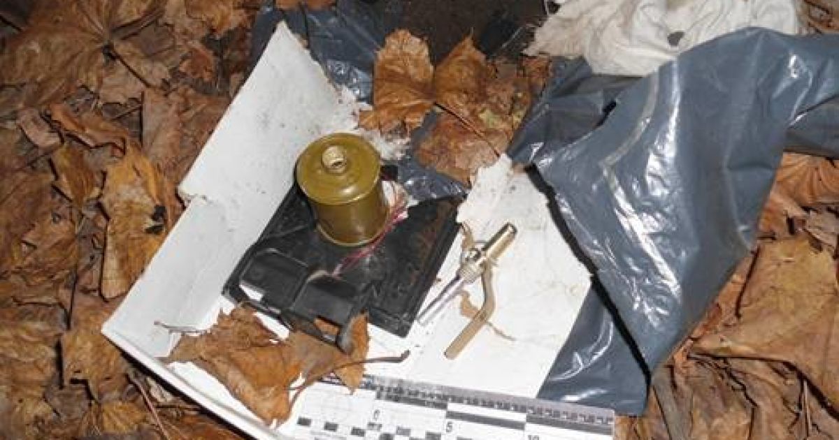 Під час обшуків у квартирах членів групи вилучено чотири гранати "РГ-42" та інструкції щодо виготовлення вибухових пристроїв