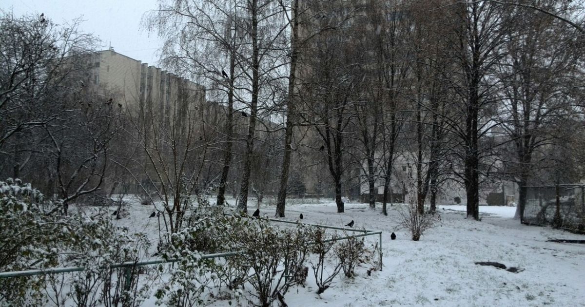 У Києві почався снігопад