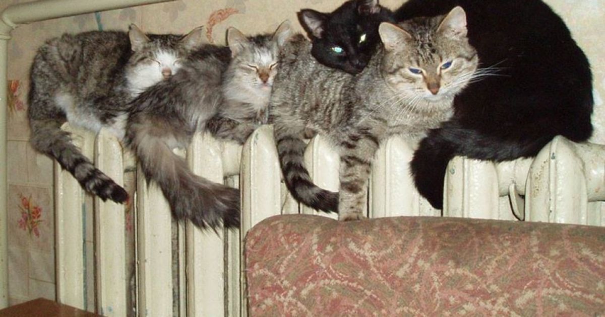 Опалення в оселі будуть припиняти подавати, коли надворі протягом трьох днів буде 8 градусів тепла