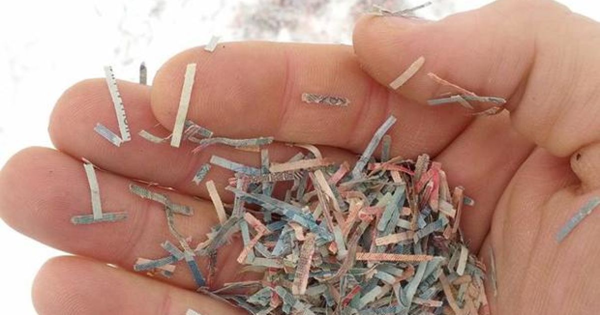 Осіб. знайшов знищені гроші, вважає, що в мішках було близько мільярда гривень.