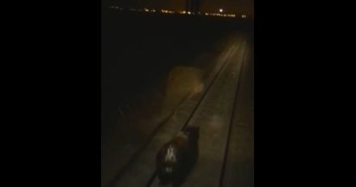 Кадр з відео