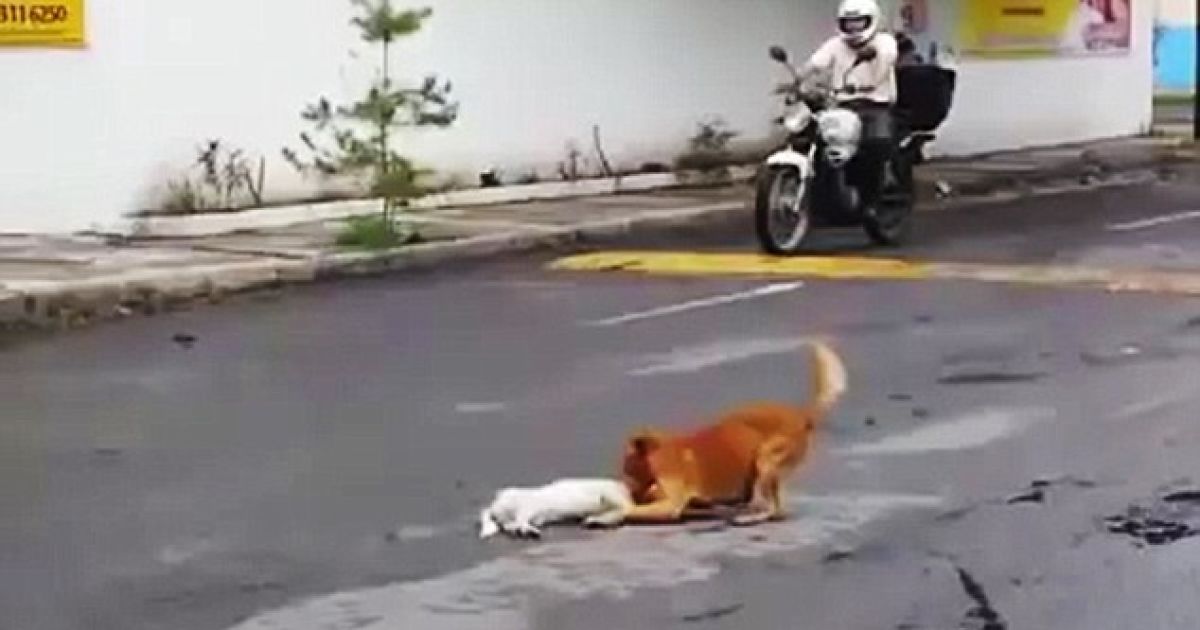 Вражаючі кадри були зняті в Мексиці