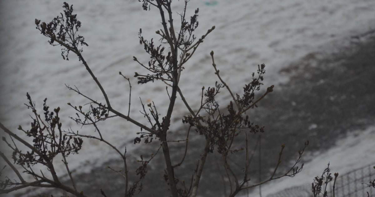 Космодром "Східний" будується поблизу селища Вуглегірськ в Приамур'ї