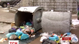 Остатки расчлененного тела нашли в мусорнике в Черновцах