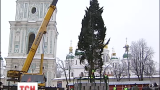 В Киеве на Софийской площади установили новогоднюю елку