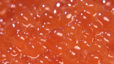 Як обрати якісну червону ікру