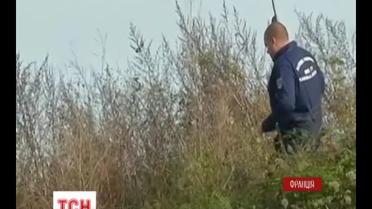 В пригороде Парижа разыскивают тигра