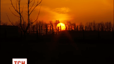 Мережу збурила новина про небаченої сили магнітну бурю