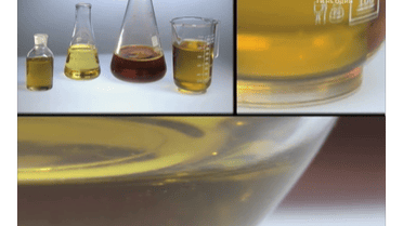 Некачественное оливковое масло вредит иммунитету