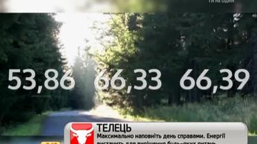 Россияне теперь медитируют, наблюдая за падением курса рубля