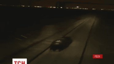 У Норильську влаштували залізничне "сафарі" на ведмедя