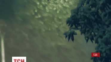 Зимова негода порушила авіасполучення у США