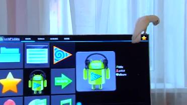 Попугай знает слова гимна Украины