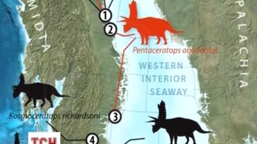 Вчені виявили новий вид динозаврів