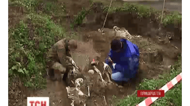 На масове захоронення жертв НКВС натрапили на Прикарпатті