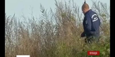 В пригороде Парижа разыскивают тигра
