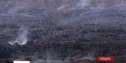 Взрывы снарядов Второй мировой войны мешают тушить торфяники под столицей