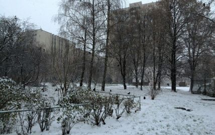 Сегодня утром киевлян порадовал первый снег