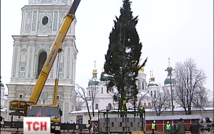 В столице установили 24-метровую настоящую елку, которую после праздников продадут с аукциона