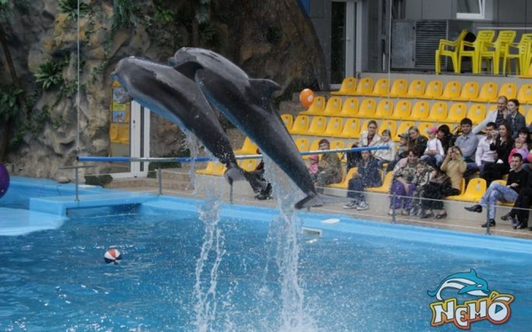 Дельфинарий / © nemo.kh.ua