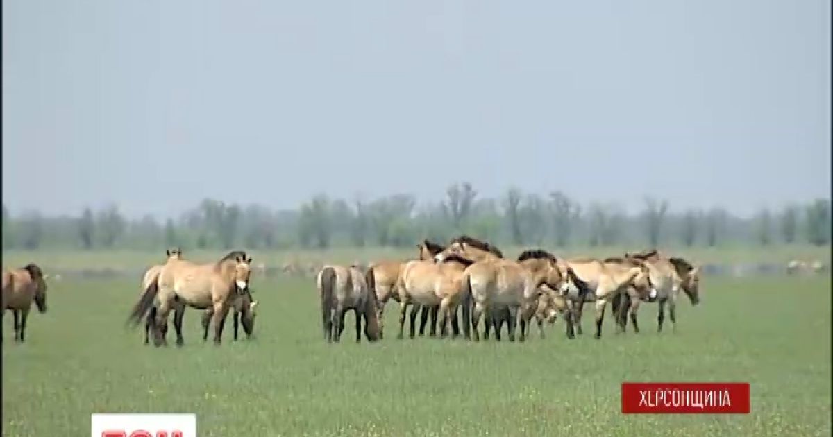 Уникальный заповедник страдает из-за отсутствия соответствующих документов