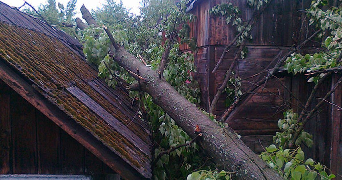 Сильні пориви вітру повалили дерева та знеструмили понад 60 населених пунктів