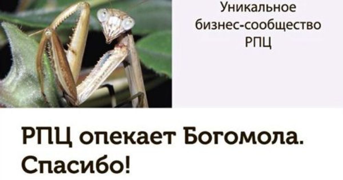 Благодійна табличка від "РПЦ"