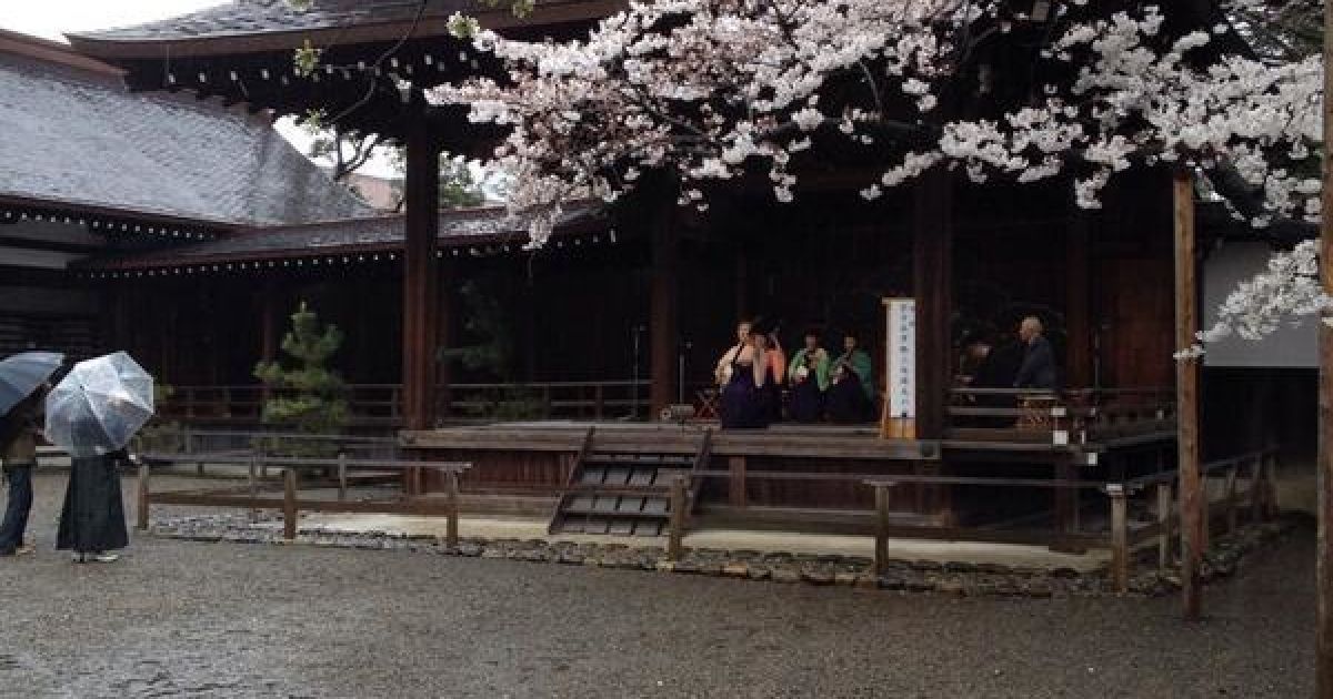 В Токио зацвели сакуры / © twitter.com/chiyodasakura