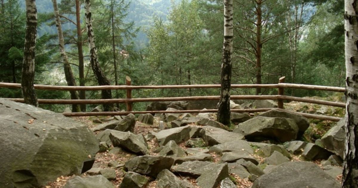 Карпатский национальный парк / © yani-mako.livejournal.com