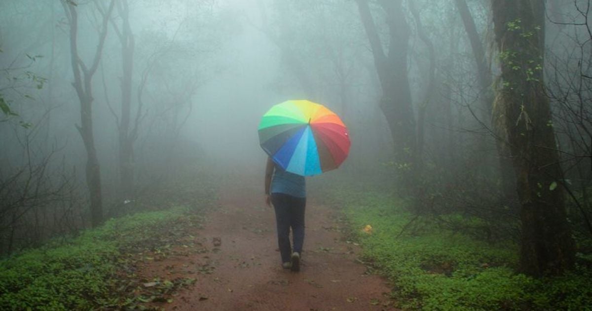 В Украине сегодня снова пройдут дожди