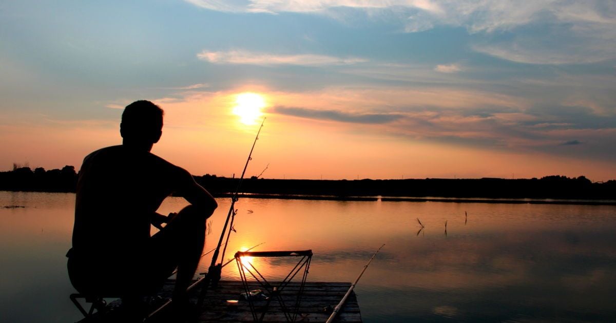 Ми, вони та їхні хобі