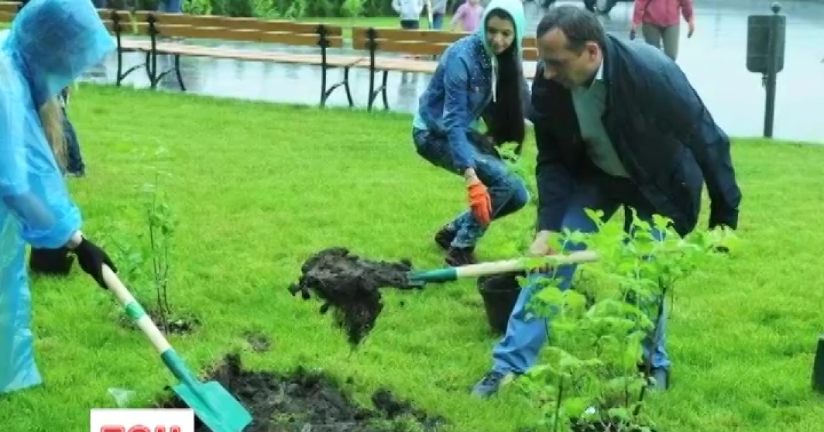 В столице теперь есть калиновая роща Небесной сотни