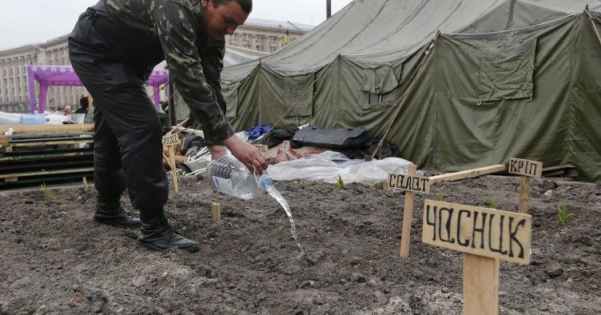 Огород на Майдане уничтожат