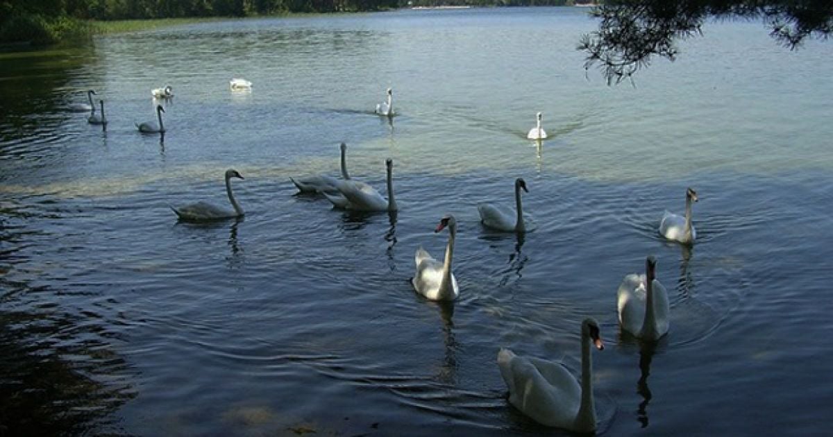 В Украине появится новый национальный парк