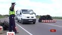 На блокпостах останавливают все подозрительные машины