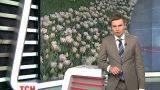 В Кировограде расцвели миллион тюльпанов