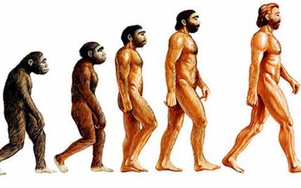 Дослідження американських вчених поставило під сумнів теорію еволюції