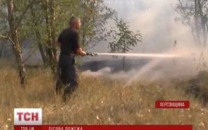 На Херсонщине безумный пожар уничтожил 100 гектаров соснового леса